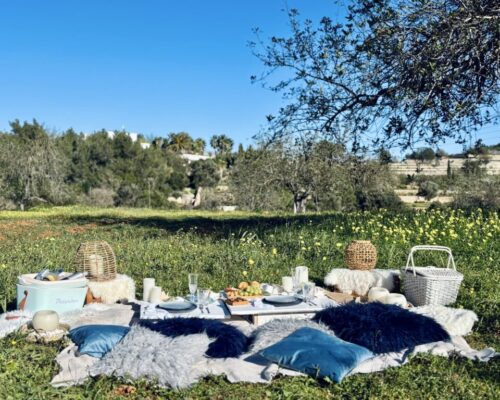 Blue Romance Picnic Setting